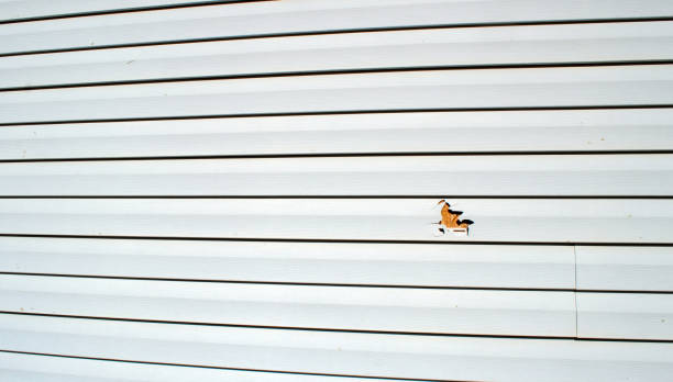  Cypress Gardens, FL Siding Installation Pros