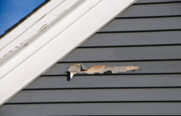 Best Weatherproofing and Sealing  in Cypress Gardens, FL